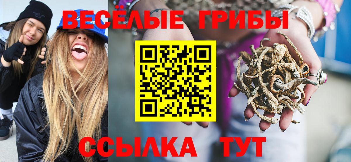 Псилоцибиновые грибы Psilocybine cubensis Можайск