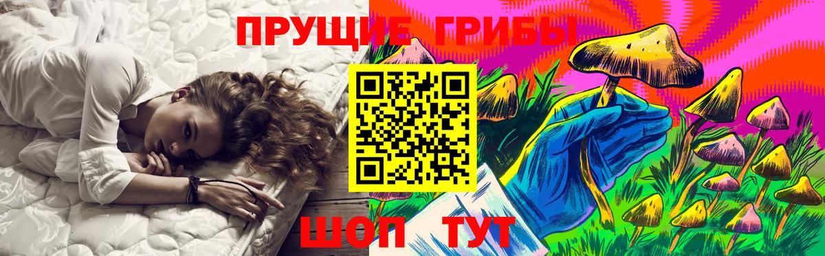 Можайск  Псилоцибиновые грибы GOLDEN TEACHER  Вход с VPN 